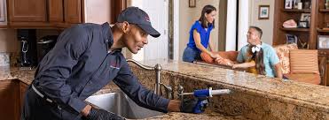 Best Real Estate Pest Inspections  in San Elizario, TX